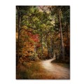 Trademark Fine Art Jai Johnson 'Autumn Forest 2' Canvas Art, 18x24 ALI14122-C1824GG